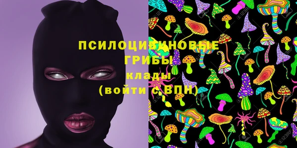 винт Арсеньев