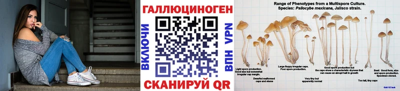 Галлюциногенные грибы MAGIC MUSHROOMS Бузулук